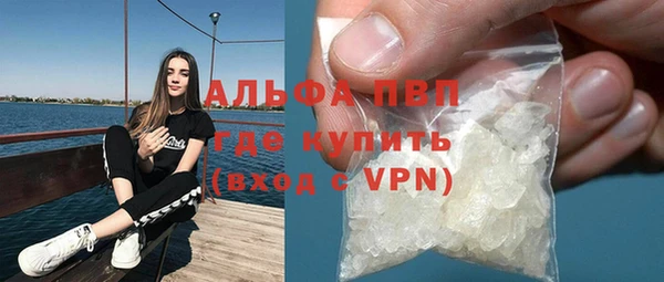 гашик Новодвинск