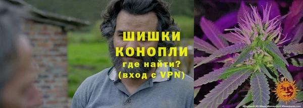 2c-b Новозыбков